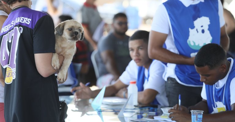 |Edu Fortes/Secom Palmas 