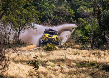 |Doni Castilho/DFfotos