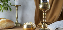 |Designed by Magnific (www.magnific.com) - Freepik 