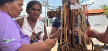 |Dalvanilde Serra/Secom-TO
