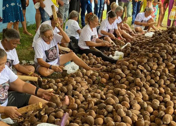 Comunidades extrativistas do Bico do Papagaio mantêm viva a tradição da quebra do coco babaçu