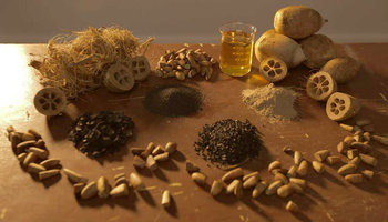 Óleo, azeite extraído a frio, farinha do mesocarpo, carvão e artesanato estão entre os produtos obtidos a partir do aproveitamento integral do babaçu