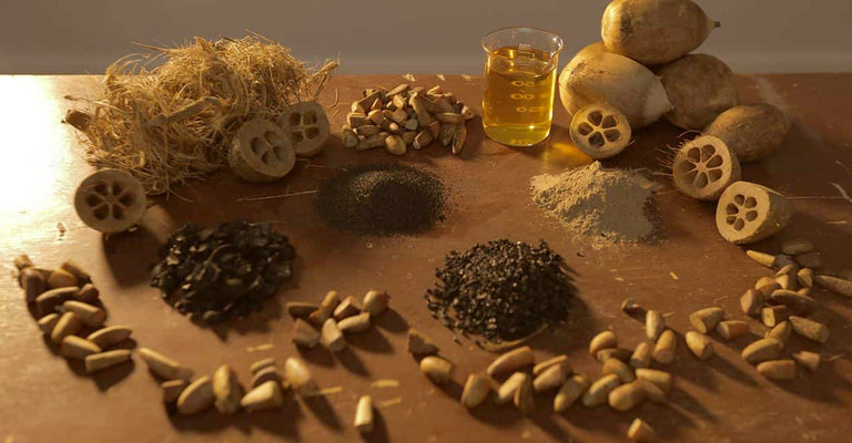 Óleo, azeite extraído a frio, farinha do mesocarpo, carvão e artesanato estão entre os produtos obtidos a partir do aproveitamento integral do babaçu