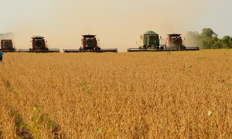 Com grande potencial para agricultura e agropecuária, o Tocantins vem alcançando novas fronteiras de exportação