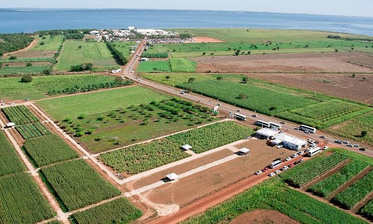A Feira de Tecnologia Agropecuária do Tocantins (Agrotins Brasil) atrai anualmente a atenção de empresários do setor do agronegócio de todo o País