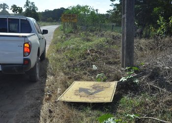 Imagem da notícia
