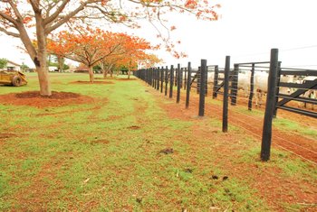 O proprietário ou posseiro da terra precisa procurar a Adapec mais próxima de seu domicílio