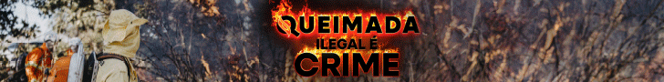 Estado: queimadas 2025