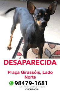 Banner Cachorrinha